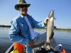 reelfoot lake catfish